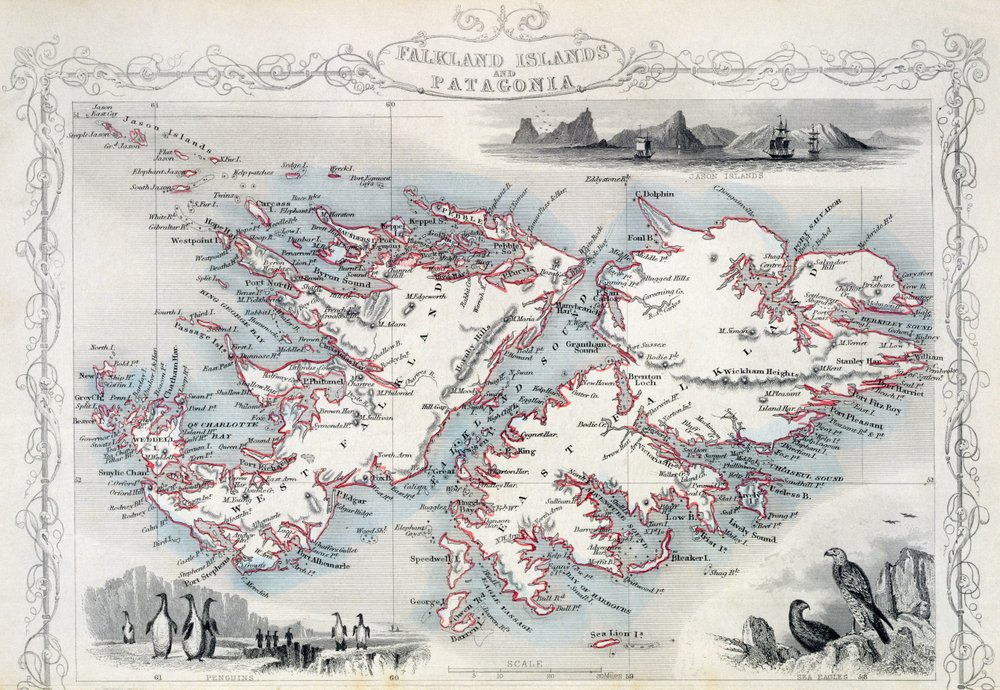 John Rapkin - Falkland Islands
